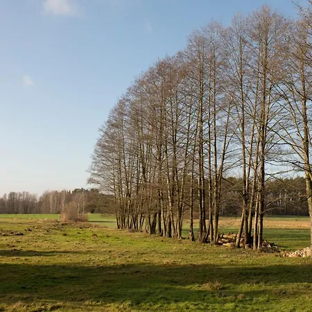 Sankakkei 2 - Lewy Brzeg Narwi *