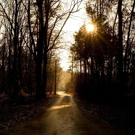 Sankakkei 2 - Lewy Brzeg Narwi * Burlaki