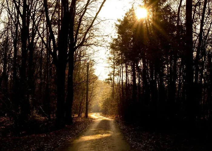 Sankakkei 2 - Lewy Brzeg Narwi * Burlaki
